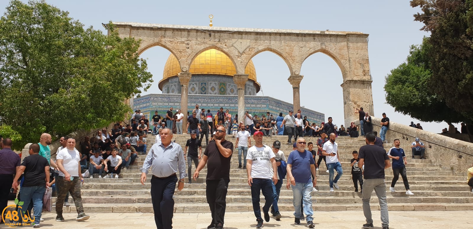 فيديو وصور من باحات المسجد الأقصى المبارك 